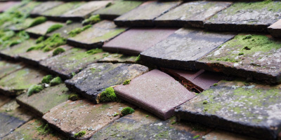 Hanley roof repair costs